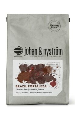 Johan och Nyström Brazil fortaleza